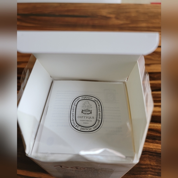 NIB Diptyque Citronelle Candle - Picture 9 of 10